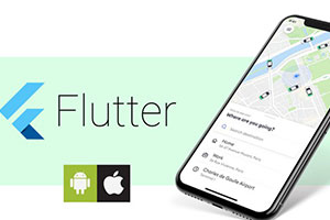 使用 Flutter 和 Firebase 构建 UBER 克隆应用程序 (2020) ( Build UBER Clone App Using Flutter and Firebase (2020) )