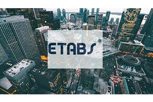 综合 ETABS 专业课程（RCC 和钢） ( The Comprehensive ETABS Professional Course (RCC and Steel) )