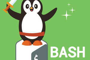 Bash Mastery：Bash Shell 脚本完整指南 ( Bash Mastery: The Complete Guide to Bash Shell Scripting )