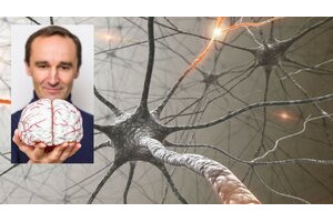 神经可塑性：如何重新连接您的大脑 ( Neuroplasticity: How To Rewire Your Brain )