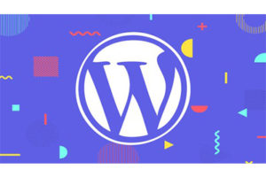 完成 WordPress 开发人员课程 – 插件和主题 ( Complete WordPress Developer Course – Plugins & Themes )