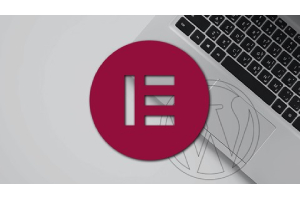 WordPress 的完整 Elementor 课程 ( The Complete Elementor Course for WordPress )