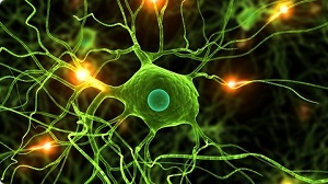 数据科学：Python 中的深度学习和神经网络 ( Data Science: Deep Learning and Neural Networks in Python )