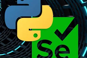 实用软件测试2022-Manual+JIRA+API+DB+Selenium ( Practical Software Testing 2022-Manual+JIRA+API+DB+Selenium )