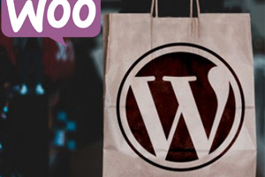 使用 WordPress 和 WooCommerce 构建电子商务网站 ( Build eCommerce websites with WordPress & WooCommerce )