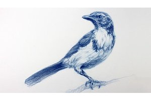 绘画艺术与科学 / 基本技能 ( The Art & Science of Drawing / BASIC SKILLS )