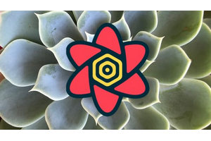 React 查询/TanStack 查询：React 服务器状态管理 ( React Query / TanStack Query: React Server State Management )