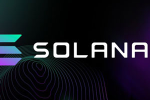 使用 Rust + JavaScript 的 Solana 区块链开发者训练营 ( Solana Blockchain Developer Bootcamp with Rust + JavaScript )