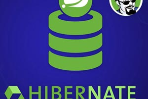 Hibernate 和 Spring Data JPA：初学者到大师 ( Hibernate and Spring Data JPA: Beginner to Guru )