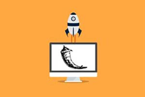 使用 Flask 课程构建 SAAS 应用程序 ( The Build a SAAS App with Flask Course )