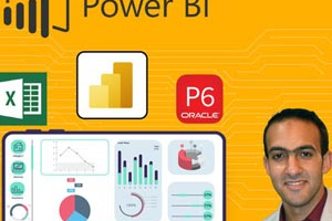 用于项目规划和控制的 Microsoft Power BI ( Microsoft Power BI for Project Planning and Control )