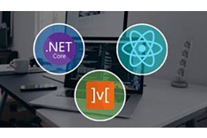 使用 .Net Core 和 React 构建应用程序的完整指南 ( Complete guide to building an app with .Net Core and React )