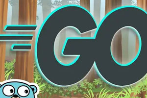 Go 编程 (Golang):完整开发人员指南 ( Go Programming (Golang): The Complete Developer’s Guide )