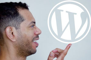 从头开始​​开发 WordPress 主题 2.0 ( WordPress Theme Development from Scratch 2.0 )