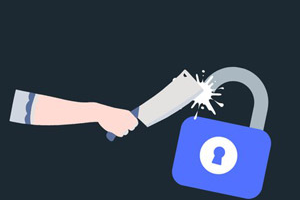 道德黑客/渗透测试和漏洞赏金猎人 v2 ( Ethical Hacking/Penetration Testing & Bug Bounty Hunting v2 )