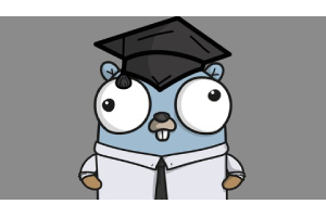 面向 DevOps 和云工程师的 Golang ( Golang For DevOps And Cloud Engineers )