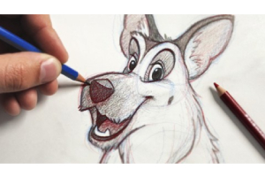 终极动物绘画课程 – 初级到高级 ( The Ultimate Animal Drawing Course – beginner to advanced )