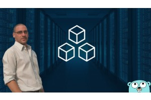 如何在 Golang (Go) 中设计和开发 REST 微服务 ( How to design & develop REST microservices in Golang (Go) )