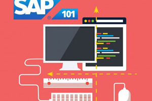 完整的 SAP S/4HANA 训练营 2023 ( The Complete SAP S/4HANA Bootcamp 2023 )