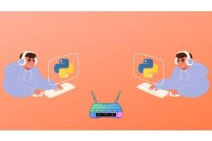 做事的艺术：带套接字的 Python 网络应用程序！ ( The Art of Doing: Python Network Applications with Sockets! )
