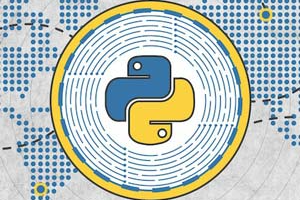 Python、JS 和 React |构建区块链和加密货币 ( Python, JS, & React | Build a Blockchain & Cryptocurrency )