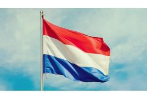在荷兰语中学习荷兰语 3：掌握 1000 个最常用的单词 ( Learn Dutch in Dutch 3: master the 1000 most used words )
