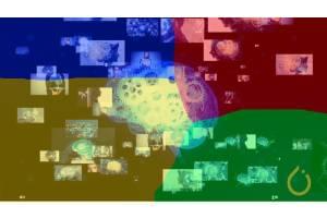 使用 PyTorch 掌握图像分割 ( Mastering Image Segmentation with PyTorch )