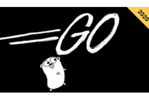 Go (Golang) 编程：完整的 Go 训练营 2023 ( Go (Golang) Programming: The Complete Go Bootcamp 2023 )