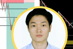 高级交易课程：完整的智能货币概念 ( Advanced trading course : The complete Smart Money Concepts )