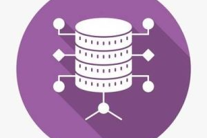 Entity Framework Core 6 简介 ( Introduction to Entity Framework Core 6 )
