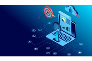 使用 Microsoft Excel 进行数据分析和商业智能 ( Data Analysis And Business Intelligence With Microsoft Excel )