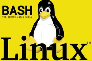 [udemy] Linux管理：完整的Linux训练营| Linux Administration: The Complete Linux Bootcamp