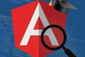 Angular Core Deep Dive – 初级到高级（Angular 14）( Angular Core Deep Dive – Beginner to Advanced (Angular 14) )
