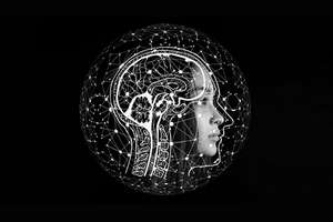 完整的个人发展课程 – 1 年 22 门课程 ( The Complete Personal Development Course – 22 Courses in 1 )