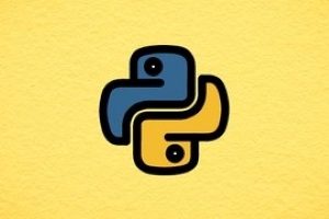 后端 Python ( Python on the Backend )