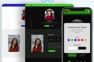 具有主题定制的 React JS 投资组合网站 ( React JS Portfolio Website with Theme Customization )