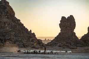 吉布提油管频道的10个惊人历史