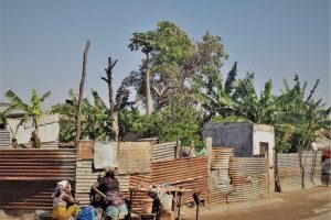 莫桑比克油管频道的十大历史