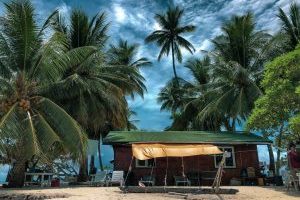 油管上关于密克罗尼西亚的8个最受欢迎的频道