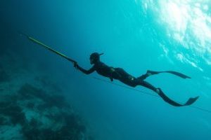 13个最佳鱼叉捕鱼油管频道