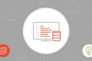Oracle PL/SQL 基础知识卷。一、二 ( Oracle PL/SQL Fundamentals vol. I & II )