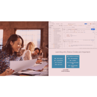 ASP.NET Core 6 Web API 深度解析(ASP.NET Core 6 Web API Deep Dive)