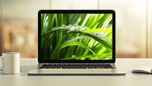 [新] Spring Boot 3、Spring 6 和 Hibernate 初学者([NEW] Spring Boot 3, Spring 6 & Hibernate for Beginners)
