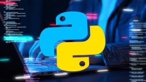 Python 训练营：30 小时循序渐进的 Python 课程(Python Bootcamp: 30 Hours Of Step By Step Python Lessons)