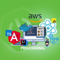 专业全栈开发人员(PROFESSIONAL Full Stack Developer)