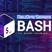 Bash 脚本编写：学习 Shell 脚本编写(Bash Scripting: Learn Shell Scripting)