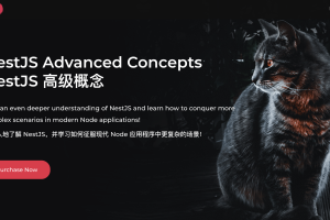 learn.nestjs教程 | NestJS Advanced Concepts