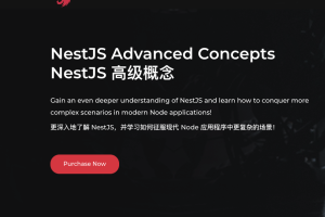[learn.nestjs] NestJS 高级概念 | NestJS Advanced Concepts